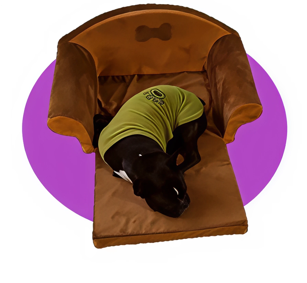 SOFA MINI - Imagen 2